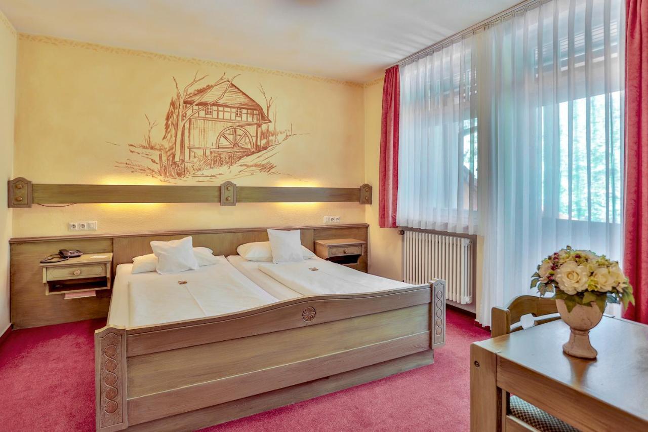 Hotel Dammenmuehle Lahr  Room photo